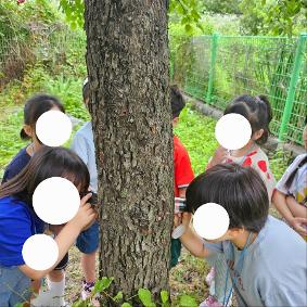 6월 찾아오는 체험활동- 숲체험